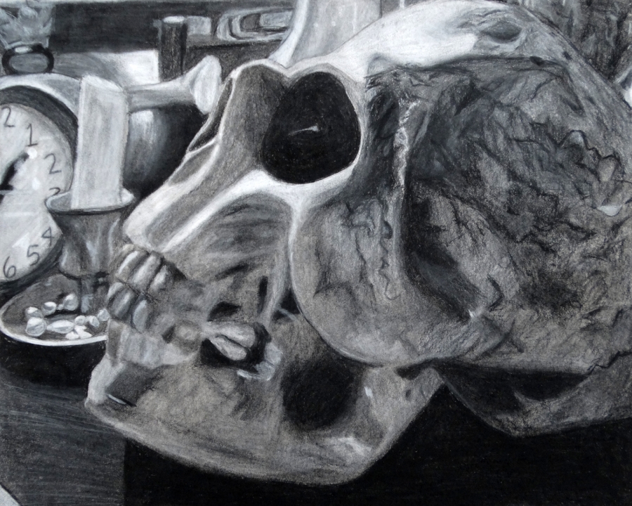 picture of a skull